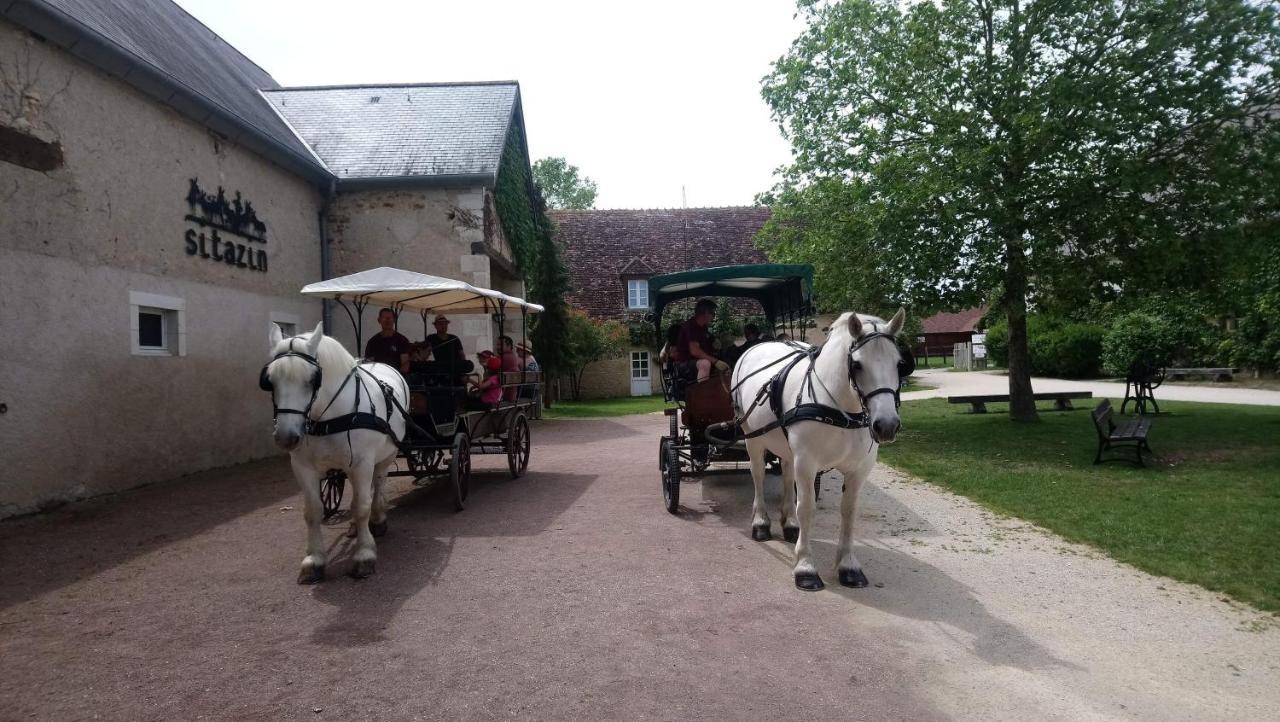 Le Village De Cottages - Le Pole Du Cheval Et De L'Ane Lignières Buitenkant foto