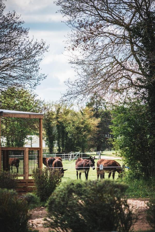 Le Village De Cottages - Le Pole Du Cheval Et De L'Ane Lignières Buitenkant foto